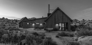 JOSHUA TREE | California