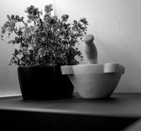 Calidad garantizada 
ISO 14001